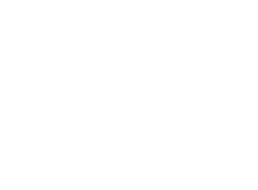 databridgr
